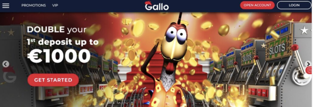 Gallo Casino Review